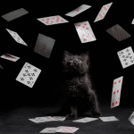 21点算牌法入门-正规博彩平台-博彩论坛-博彩网